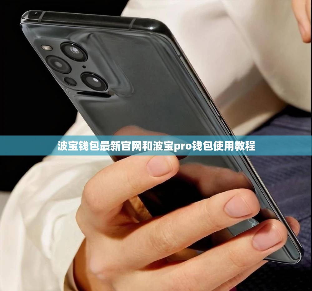 波宝钱包最新官网和波宝pro钱包使用教程