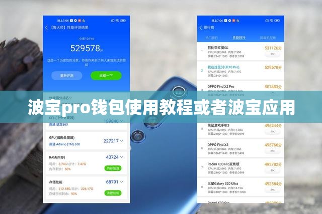 波宝pro钱包使用教程或者波宝应用